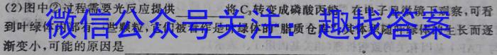 河南省2023-2024学年高一下学期第一次月考(24-377A)数学