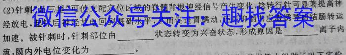 四川省名校联盟2023-2024学年第二学期高一年级期末考试生物学试题答案