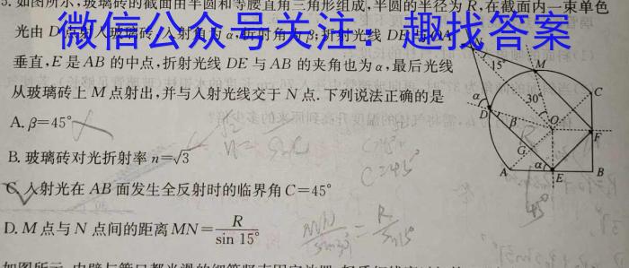 亳州市2024年3月份九年级模拟考试(试题卷)物理`