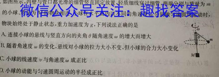 2024年河南省普通高中毕业班高考适应性测试（3月）物理试卷答案