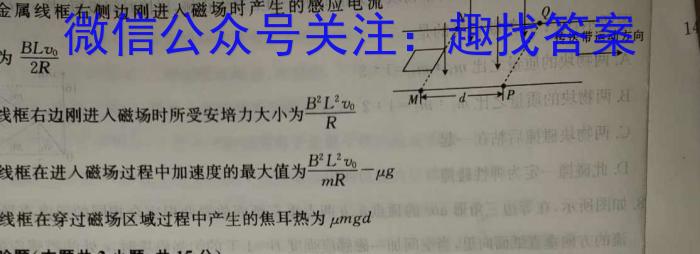 衡中同卷 2024语数英第一次模拟联合检测(新高考)物理试卷答案