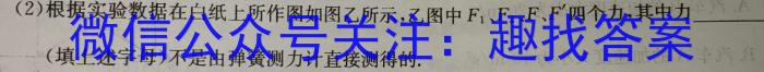 安徽省合肥市2023-2024学年第二学期八年级期中教学质量检测h物理