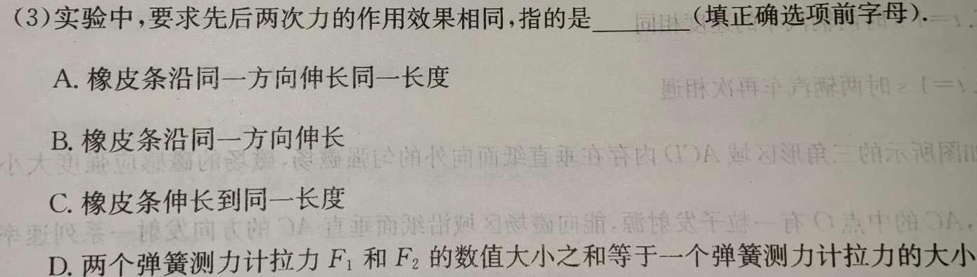 [今日更新]2024届NT普通高等学校招生全国统一考试模拟押题试卷(一).物理试卷答案