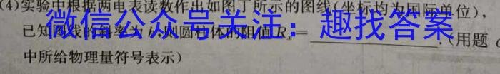 2024年陕西省初中学业水平考试全真模拟(二)2l物理