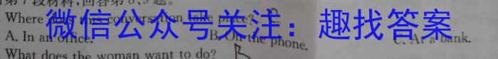 安徽省池州市贵池区2024届九年级（上）期末考试英语试卷答案