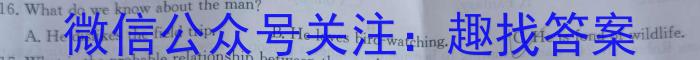 青海省民和县第一中学高三2024年秋季学期第二次月考检测(10029C)英语