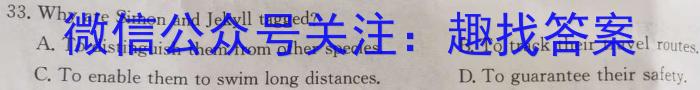 2024-2025学年海南高一阶段性教学检测(一)英语