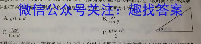 文博志鸿·2024年河北省初中毕业生升学文化课模拟考试（导向二）物理试卷答案