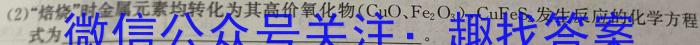 【精品】天一大联考 2023-2024学年安徽高二(上)期末质量检测化学