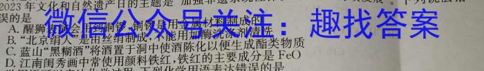 安徽省C20教育联盟2024年九年级第一次学业水平检测数学