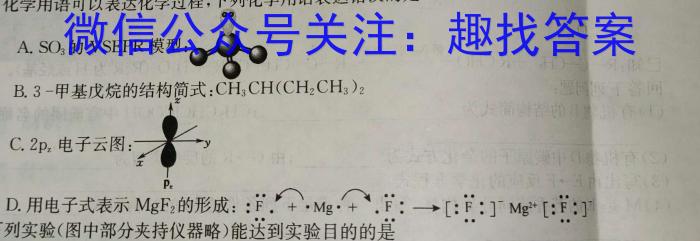 银川一中2025届高三第一次月考数学