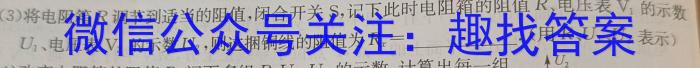 陕西省2023-2024学年九年级阶段诊断(✿)物理`