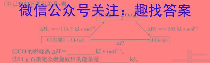 2024年河南中招考试模拟冲刺卷(四)化学