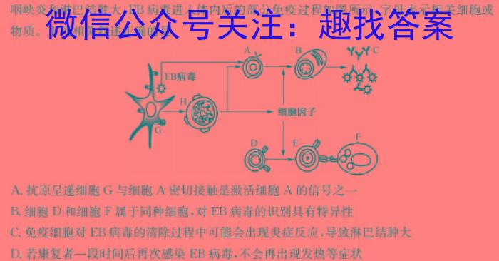 2023-2024学年河北省高二年级期末考试(24-617B)生物学试题答案