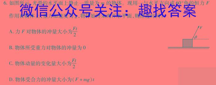 名校之约 2024河南省中招考试仿真冲刺试卷物理试题答案