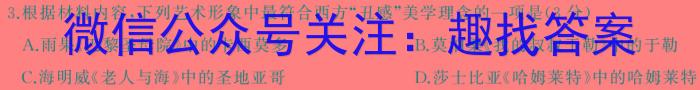 青海省2024年中考模拟考试(二)(青海专版)语文