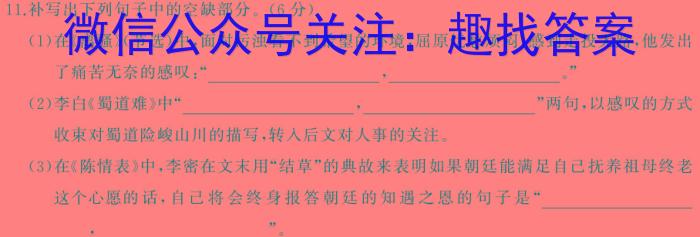 2024年湖南省初中学业水平考试模拟试卷(BEST联考二)语文