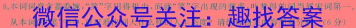 渭源一中教育联盟2024~2025学年度第一学期暑假开放日教学测试（25012C）语文