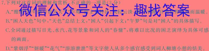 安徽省2024年第二学期九年级4月考试语文