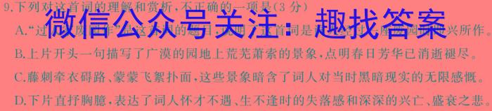 安徽省2024年1月份九年级质量检测试卷（24-CZ64c）/语文
