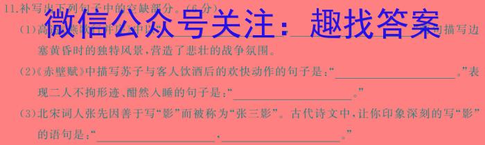 安徽省2024届九年级第五次月考/语文