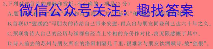 云南师大附中(贵州卷)2024届高考适应性月考卷(九)(黑白黑白白白白黑黑)语文