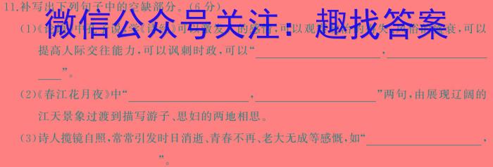 九师联盟 2024届高三1月质量检测巩固卷(LG)/语文