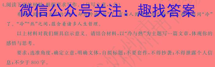 名校计划 2024年河北省中考适应性模拟检测(夺冠二)语文