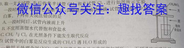 湖南省2024届高三一起考大联考(压轴一)化学