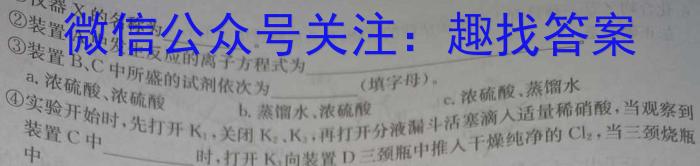 2024年湖南省普通高中学业水平合格性考试高一仿真试卷(专家版四)化学