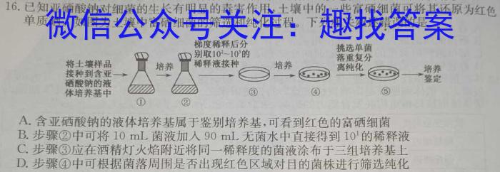 2024年昆明一中、银川一中高三联合考试二模生物学试题答案