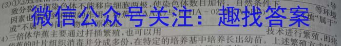 江西省2024届九年级《学业测评》分段训练（六）数学