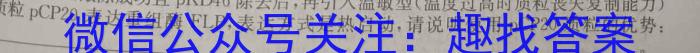 华阴市2023~2024学年度八年级第二学期期末教学质量检测数学