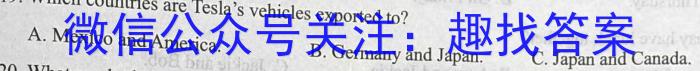 安徽省2024年下学期九年级3月考试英语