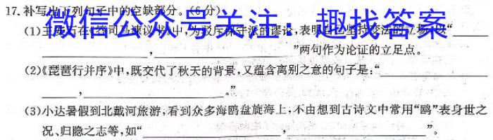 2024届河北省高三大数据应用调研联合测评(VIII)语文