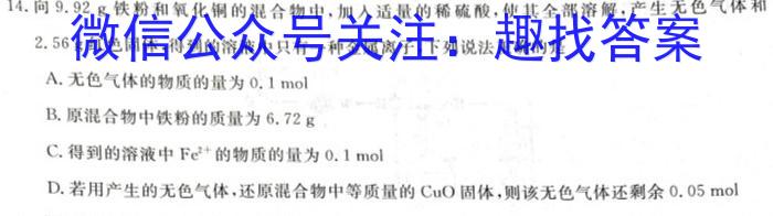 2024届江西省宜春名校联盟九年级综合检测一(CZ124c)化学