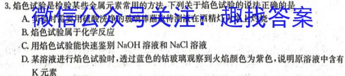 安徽省淮南高新区2025届九年级暑假作业反馈化学