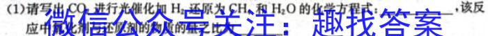 3龙西北名校联盟2024届上学期高三学年期末联合考试化学试题