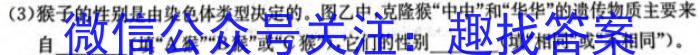 万维中考·2024年河北省初中毕业生升学文化课考试（黑卷）数学