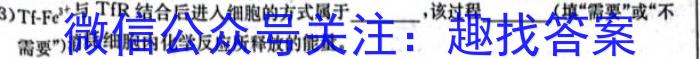 云南省2024年会泽县第二次高中毕业生复习统一检测数学