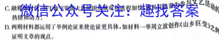 安徽省安庆市2023-2024学年度第一学期期末综合素质调研（九年级）/语文