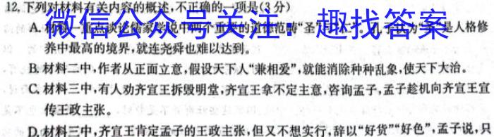 2024届衡水金卷先享题[调研卷](山东专版)四语文