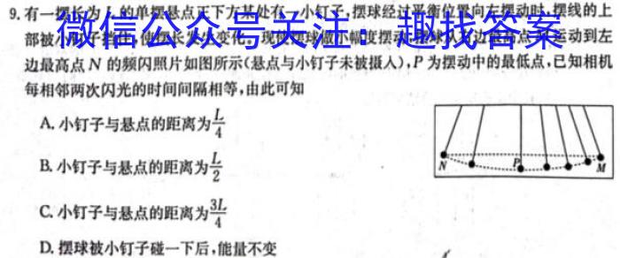 2024届河南省考前冲刺(9198C-H)(5月)物理`