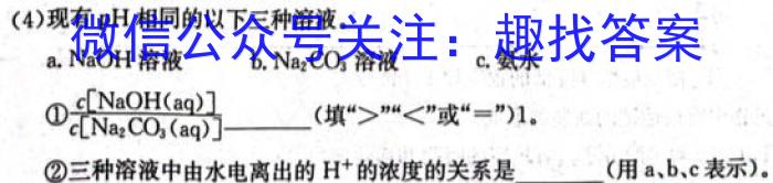 明思教育2024年河南省普通高中招生考试试卷(题名卷)化学