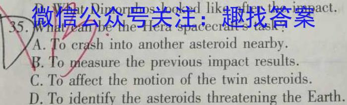 河南省2023-2024学年高一年级阶段性测试（期末考试）英语