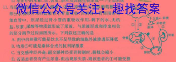 安徽省涡阳县2023-2024学年度九年级第二次质量监测数学
