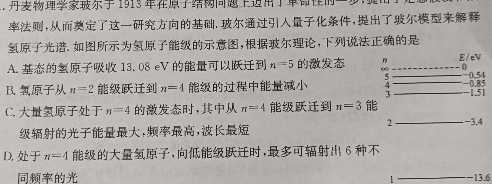 2024-2025学年度武汉市部分学校高三年级九月调研考试(物理)试卷答案