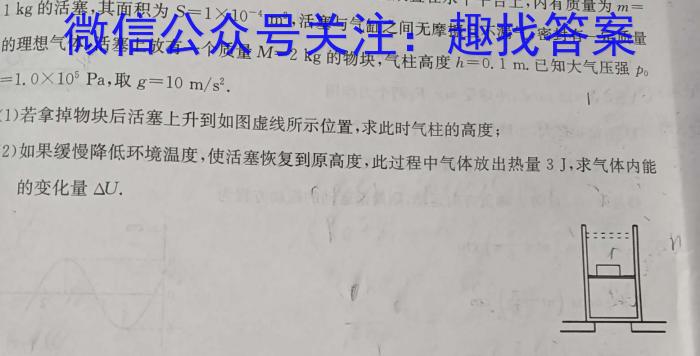 2024届湖北省新高考联考协作体高三下学期一模联考f物理