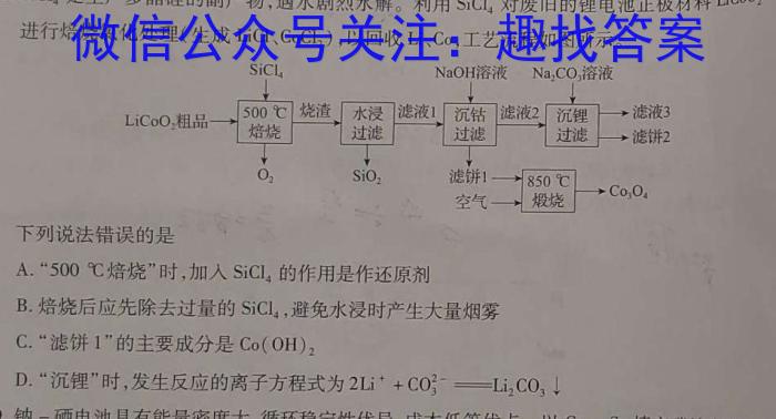 安徽省安师联盟2024年中考权威预测模拟试卷（五）化学