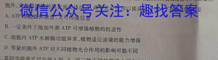 安徽省太和县2024年初中学业水平考试模拟测试卷（一）英语